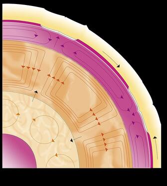 UNSPECIFIED - JULY 16:  Diagram of Earth's mantle motions and forces  (Photo by DEA / D'ARCO EDITORI/De Agostini via Getty Images)