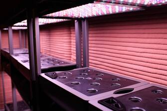 An area to grow plants inside of CHAPEA's Mars Dune Alpha at the Johnson Space center in Houston, Texas on April 11, 2023. - CHAPEA's Mars Dune Alpha is a 3D printed habitat designed to serve as an analog for one-year missions. (Photo by Mark Felix / AFP) (Photo by MARK FELIX/AFP /AFP via Getty Images)