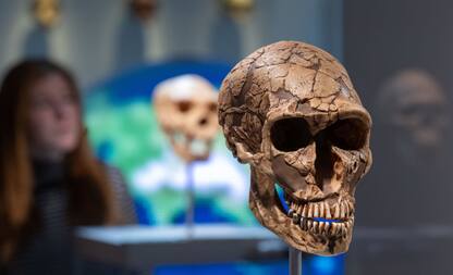 Batterio dell'epoca dei Neanderthal riportato in vita: ecco perché