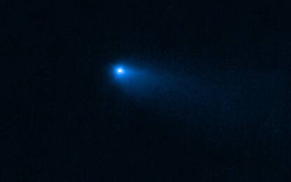 Tracce di acqua su una rara cometa, la scoperta del telescopio Webb