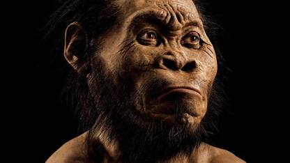 Homo naledi, seppelliva morti  100mila anni prima dell'Homo Sapiens