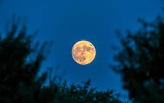 epa10779014 View of the 'Super Sturgeon Moon' from Alcala de Henares, Madrid, Spain, 31 July 2023. EPA/Fernando Villar