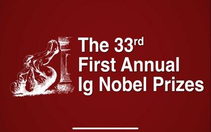 Ig Nobel 2023, i vincitori per le ricerche scientifiche più singolari