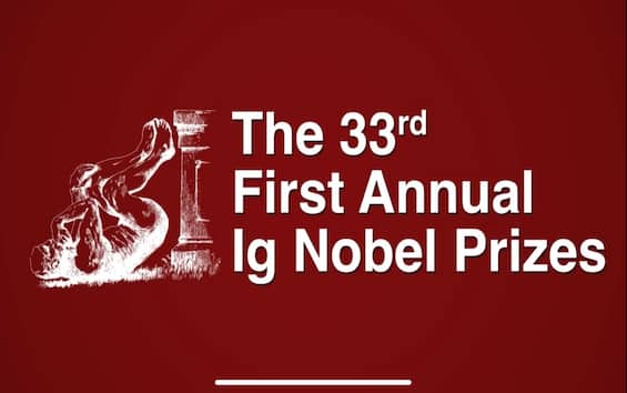Ig Nobel 2023, the winners for the most unique research in the scientific field