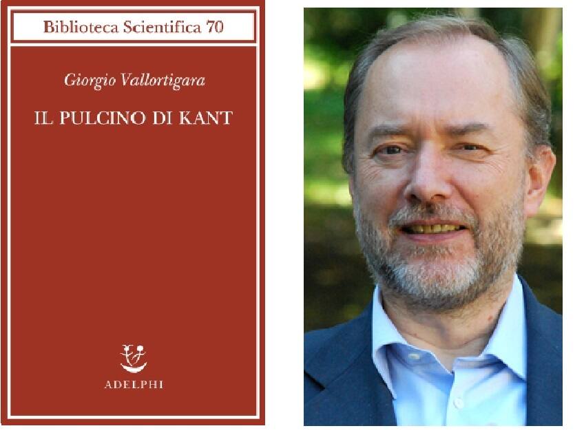 Il  Prof. Giorgio Vallortigara,  il suo nuovo libro è Il Pulcino di Kant