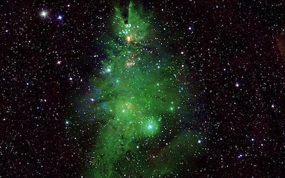 Un albero di Natale nello Spazio, l'immagine del telescopio Nasa