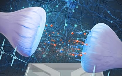 Create prime sinapsi artificiali che replicano quelle umane