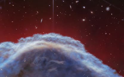 Telescopio Webb cattura la Nebulosa Testa di Cavallo: nuovi dettagli