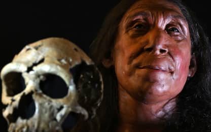 Ricostruito volto di donna di Neanderthal vissuta 75mila anni fa
