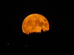 Oggi sarà visibile la prima superluna blu dell'anno: ecco dove vederla