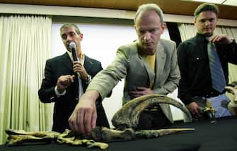 Argentine paleontologists Jorge Calvo (L) and Juan Porfiri (R) and Brazil's Alex Kellner (C) display on atable replicas of "Futalognkosaurus dukei" bones, found in 2002 in the Barreales lake in the Argentine Patagonia, 15 October 2007 at the Brazilian Academy of Science in Rio de Janeiro, Brazil. The Futalognkosaurus dukei mesured between 32 to 34 meters and so far it has only been found in Patagonia. AFP PHOTO ANTONIO SCORZA (Photo credit should read ANTONIO SCORZA/AFP via Getty Images)