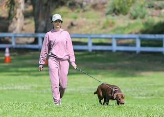 LOS ANGELES, CA - MARCH 18: Alessandra Ambrosio is seen taking her dog, Cinnamon for a walk on March 18, 2020 in Los Angeles, California.  (Photo by BG004/Bauer-Griffin/GC Images)