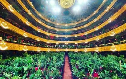 Barcellona, il teatro dell'opera in scena con un pubblico di piante