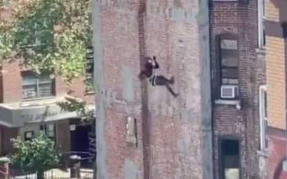 Avvistato su un palazzo a New York un uomo vestito da Spider-Man