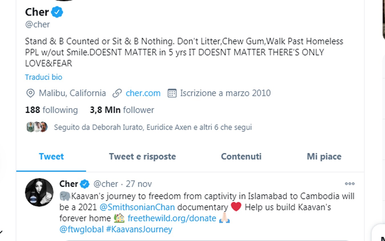 Il tweet di Cher cher