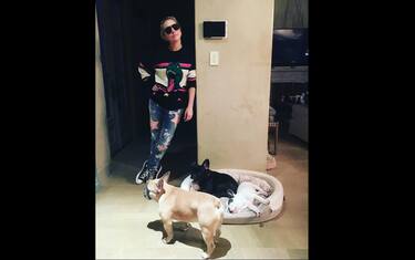 Lady Gaga, arrestati i presunti rapitori dei suoi cani