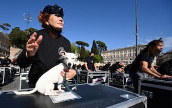 Proteste del mondo dello spettacolo