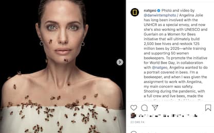 Angelina Jolie coperta di api contro rischio estinzione per NatGeo