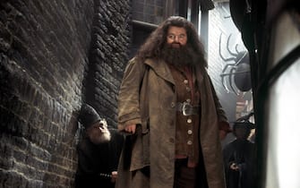ROBBIE COLTRANE as Hagrid in Warner Bros. Pictures' "Harry Potter and the Chamber of Secrets."
Ref: FB/AW
Supplied by Capital Pictures
*Film Stills - Editorial Use Only*
Tel: +44 (0)20 7253 1122
www.capitalpictures.com
sales@capitalpictures.com

(f/sd013)