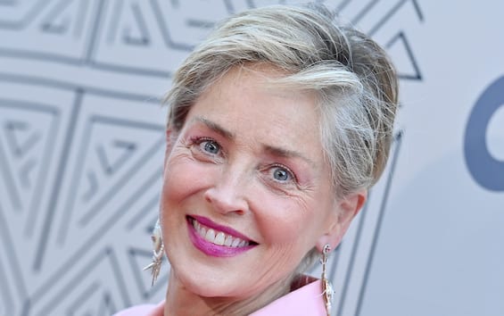 Sharon Stone transforms her Beverly Hills villa into a studio and becomes a PHOTO painter