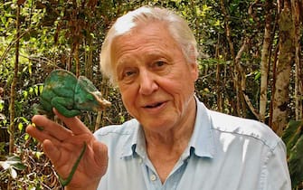 ATTENBOROUGH'S GIANT EGG