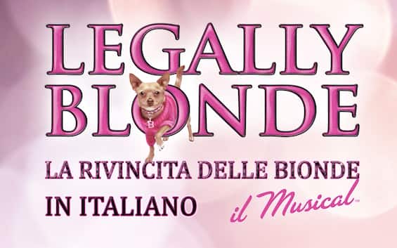 Legally Blonde becomes a musical, the debut in Milan on February 1st
