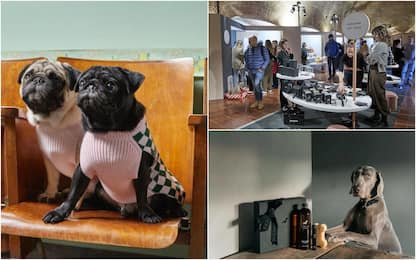 Da Pitti debutta la sezione “Pets”: moda di lusso per animali. FOTO