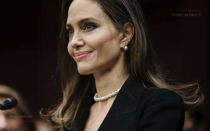 Angelina Jolie e David Mayer de Rothschild sono una coppia?