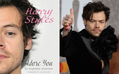 Adore you, in libreria la biografia illustrata su Harry Styles