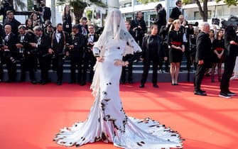 20_cannes_festival_2023_red_carpet_oddities_getty - 1