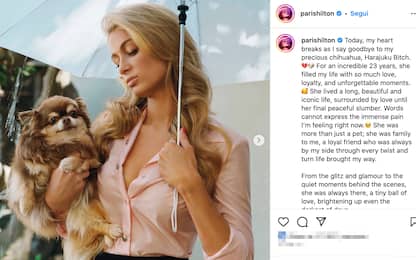 È morto il chihuahua di Paris Hilton. Lo annuncia lei su Instagram