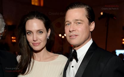 Brad Pitt, nuove accuse ad Angelina Jolie per l'azienda vinicola