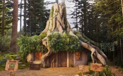 La casa di Shrek è su Airbnb: ecco come prenotarla