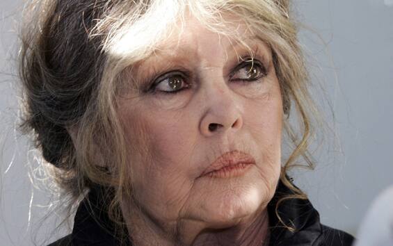 Brigitte Bardot after her illness: 