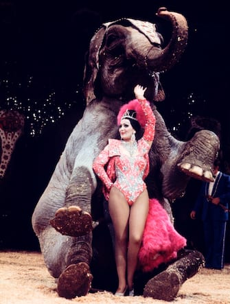 moira orfei, circo orfei, 1976