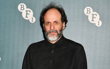 Reboot Scarface, Luca Guadagnino è il regista