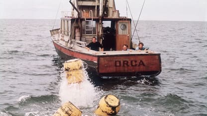 La barca del film Lo Squalo torna in mare