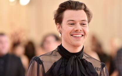 Don’t Worry Darling, Harry Styles nel cast del film