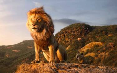 Disney, trovato il regista del sequel de Il Re Leone