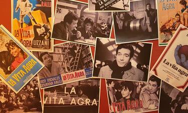 Ugo Tognazzi, Paolo Nizza sceglie "La Vita Agra"