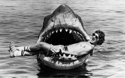 "Lo squalo" trova casa, dal film di Spielberg al Museo di Los Angeles