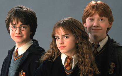 Media USA: una serie TV per far "ripartire" Harry Potter