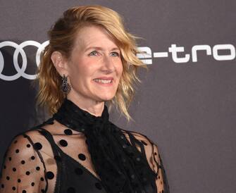 Laura Dern Foto non associate ad alcun evento