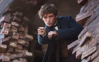 Fantastic Beasts and Where to Find Them, the cast of the Harry Potter prequel movie