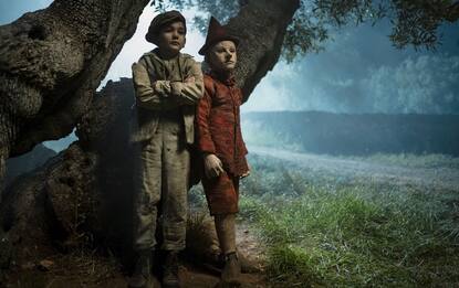Oscar 2021, le nomination: Pausini e Pinocchio candidati