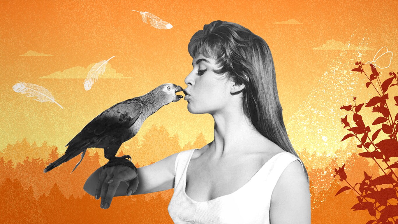 Brigitte Bardot, eterna ribelle