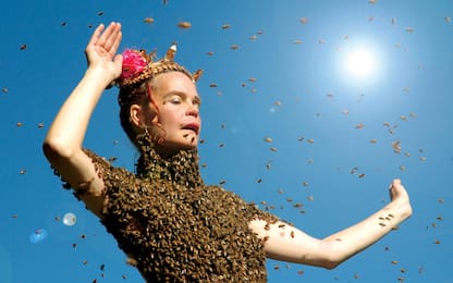 Giornata mondiale delle api: i film e i documentari su questi insetti