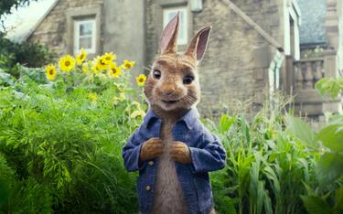 peter-rabbit-webphoto