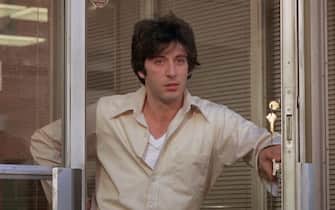That dog day afternoon