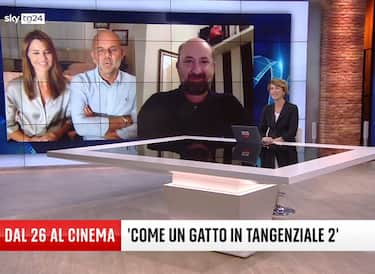 come un gatto in tangenziale 2